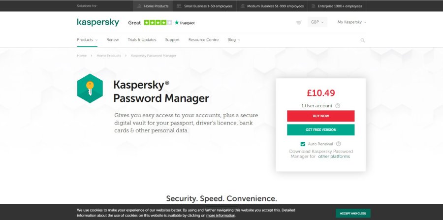 kaspersky password manager safe